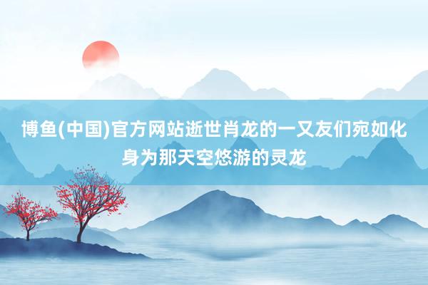 博鱼(中国)官方网站逝世肖龙的一又友们宛如化身为那天空悠游的灵龙